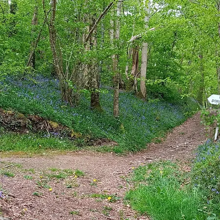 La Hiette * Saint-Vigor-des-Monts